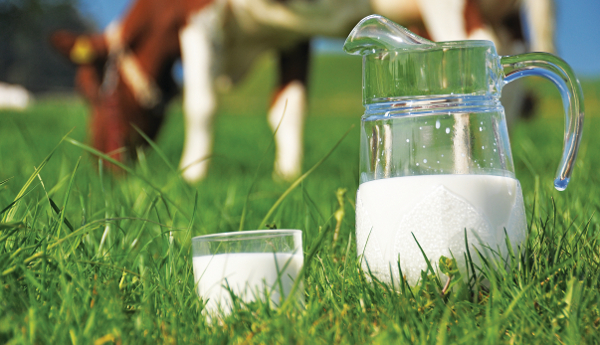 «Κατανομή ποσοστώσεων αγελαδινού γάλακτος από το Εθνικό Απόθεμα από την γαλακτοκομική περίοδο 2014-2015»